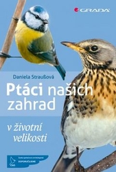 Straußová, Daniela - Ptáci našich zahrad