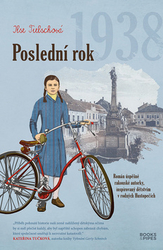 Tielschová, Ilse - Poslední rok 1938