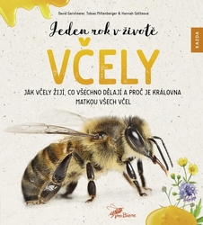 Gerstmeier, David; Götteová, Hannah; Miltenberger, Tobias - Jeden rok v životě včely