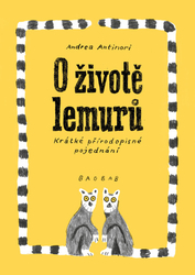 Antinori, Andrea - O životě lemurů