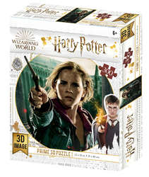 3D PUZZLE Harry Potter Hermiona Granger 300 dílků