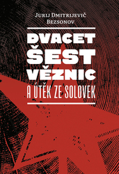 Bezsonov, Jurij Dmitrijevič - Dvacet šest věznic a útěk ze Solovek