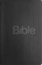 Flek, Alexandr - Bible 21