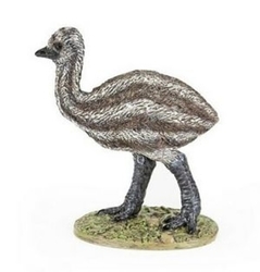 Emu mládě