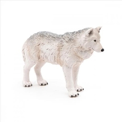 Vlk polární