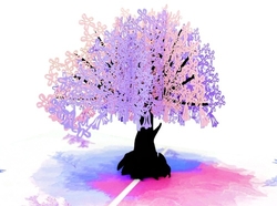 3D přání Kvetoucí Sakura