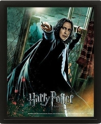 3D obraz Harry Potter Snape