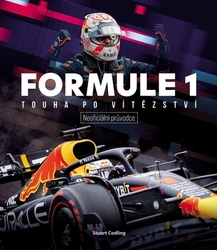 Codling, Stuart - Formule 1 Touha po vítězství