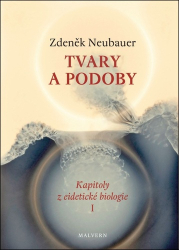 Neubauer, Zdeněk - Tvary a podoby