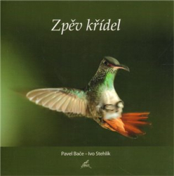 Stehlík, Ivo - Zpěv křídel