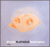 Plathová, Sylvia - Noční tance