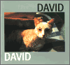 David, Jiří - David