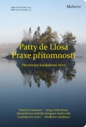 de Llosa, Patty - Praxe přítomnosti