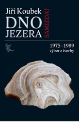 Koubek, Jiří - Dno jezera