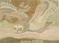 Dostál, Martin - Antonín Střížek
