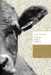 Zábranský, David - Šternův pokus milovat