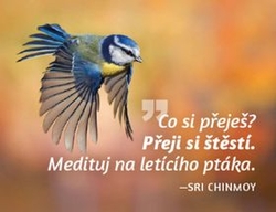 Chinmoy, Sri - Magnet na lednici Medituj na Štěstí