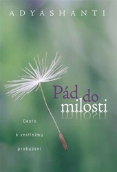 Adyashanti - Pád do milosti