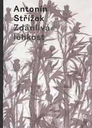 Střížek, Antonín - Zdánlivá lehkost