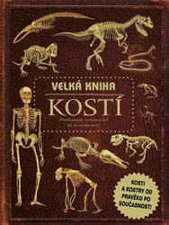 Llewellynová, Claire - Velká kniha kostí