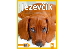 Fiedelmeierová Leni - Jezevčík