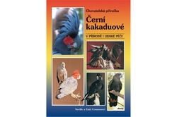 Connorsovi Neville a Enid - Černí kakaduové v přírodě i lidské péči