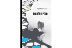 Elíasson Gyrđir - Měděné pole