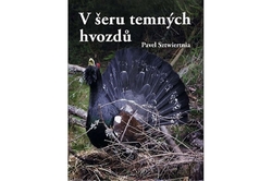 Sztwiertnia Pavel - V šeru temných hvozdů