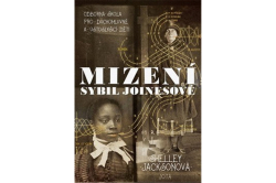Jacksonová Shelley - Mizení Sybil Joinesové