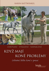 Kattwinkel, Karin - Když koně mají problémy