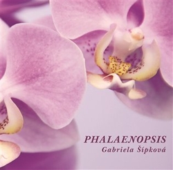 Šípková, Gabriela - Phalaenopsis